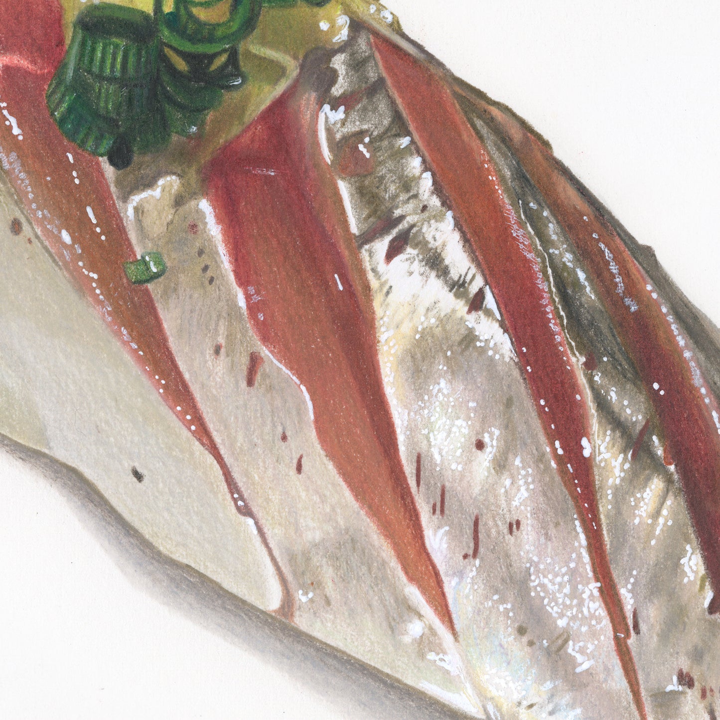 Aji, Tier ①