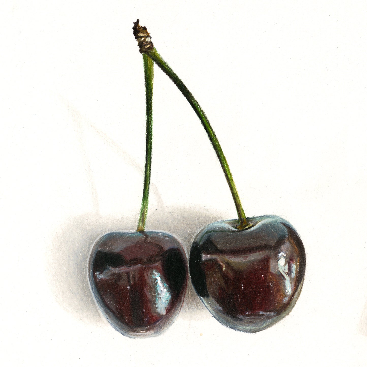 Cartier & Cherries, Tier ①