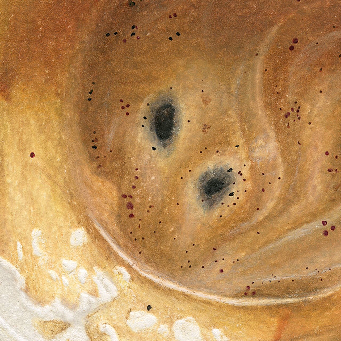 Empty Espresso