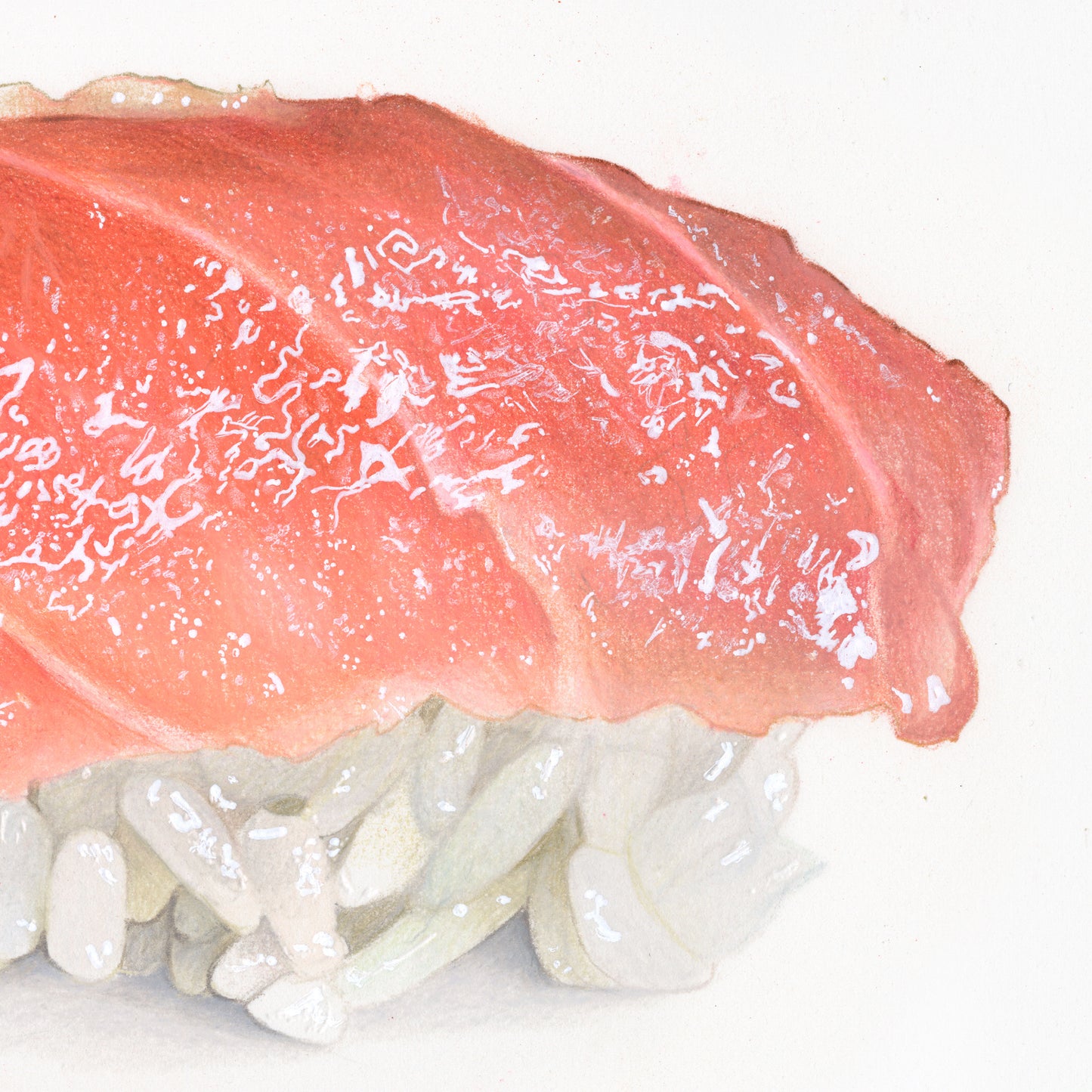 Otoro