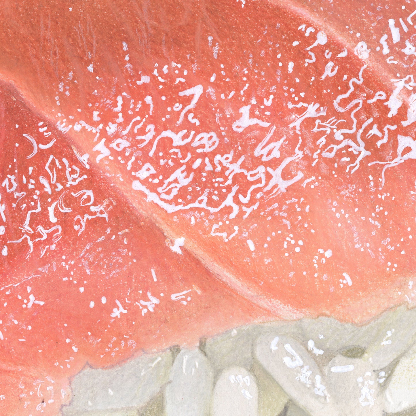 Otoro