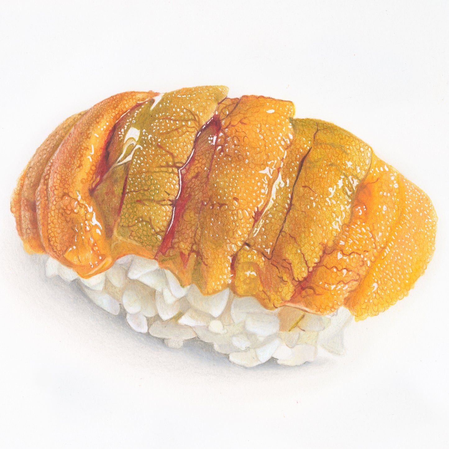 Uni, Tier ①