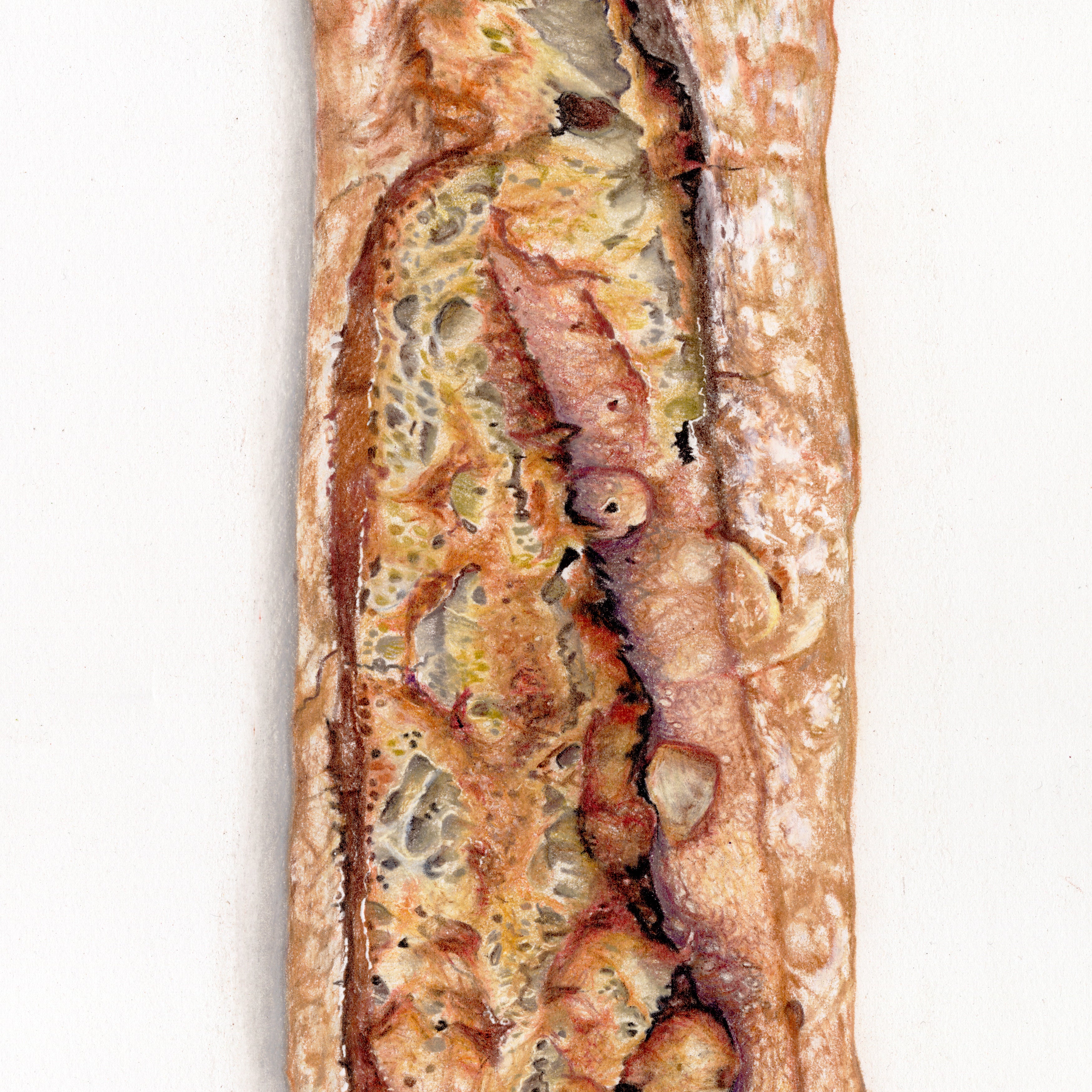 Baguette