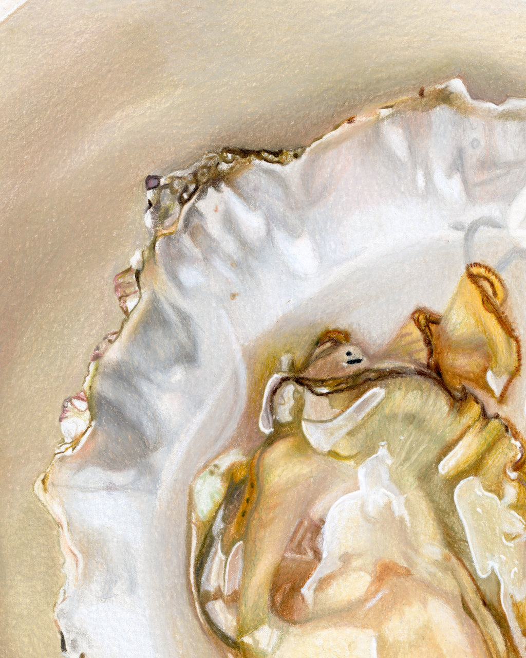 Shucked