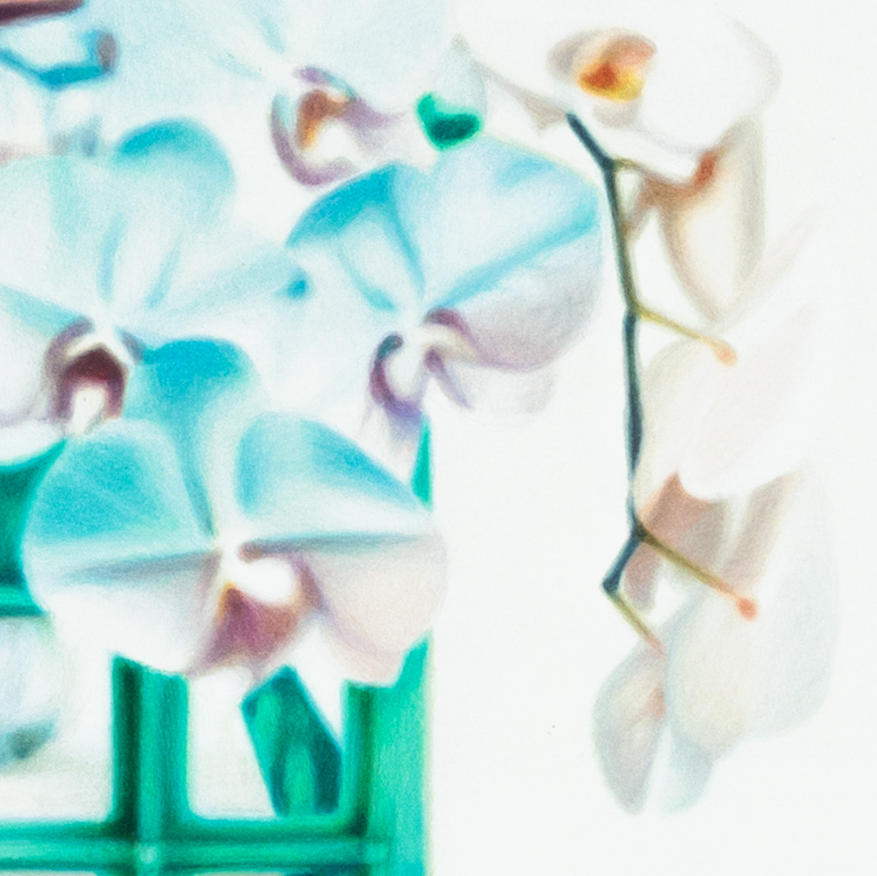 Flores de Humo